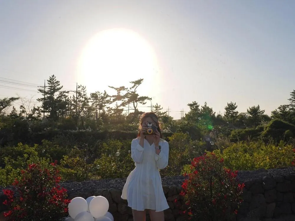 Kleinblue Stay Jeju